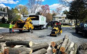 Best Tree Health Inspection  in East San Gabriel, CA