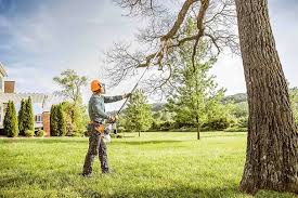 Best Grass Overseeding  in East San Gabriel, CA