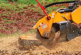 Best Lot and Land Clearing  in East San Gabriel, CA
